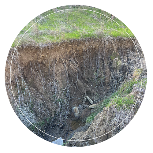 uncontrolled erosion post wildfire djeastburn