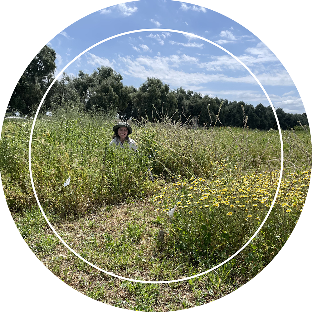 Valliere experimental grassland plots