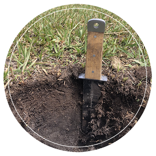 soil knife with face of soil pit and pasture grass djeastburn